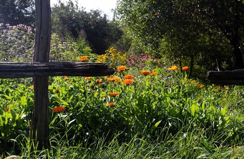 Sainte-Beatrix Cabin | Chalet Refuge- Le Mélilot