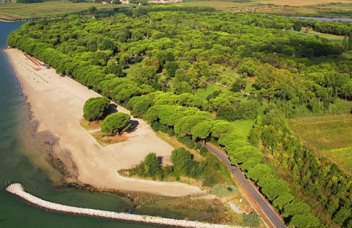 Aquileia Ski Chalet | Chalet with nice terrace near the sea