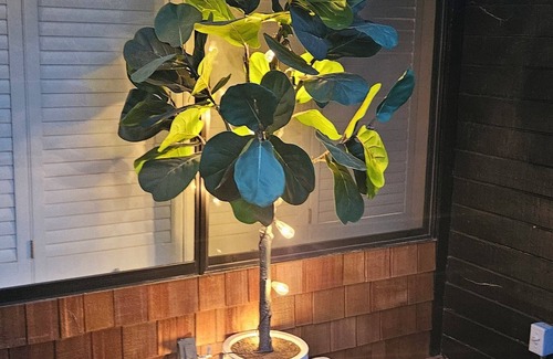 Mountain Center Ski Chalet | Chalet with access to San Jacinto Mountains, Idyllwild ,just 10 minutes away