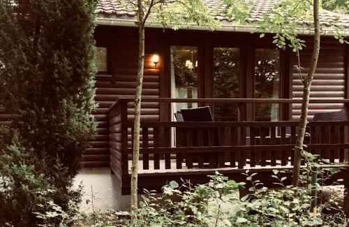 Marcouray Ski Chalet | Chalet234 in La Boverie