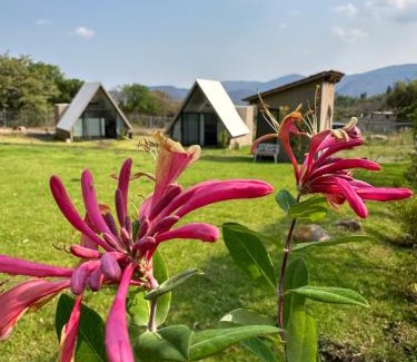 Malinalco House | Chalets Encino Saúco