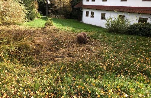 Nova Pec House | Chaloupka u Jiřího