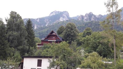 Terchova House | Chalupa JANINA