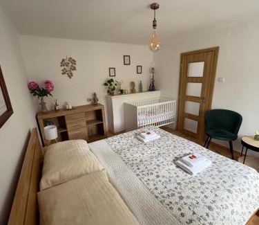 Mala Morava House | Chalupa U Franze