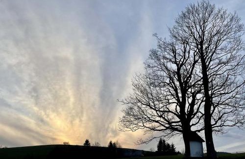 Ricky v Orlickych horach House | Chalupa u kapličky Říčky v Orlických horách