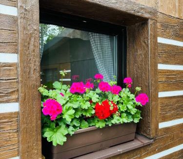 Krouna House | Chalupa U Potoka