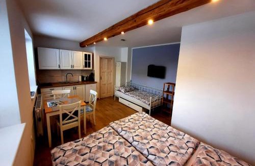 Chlum u Trebone Apartment | Chalupa v Pařezí