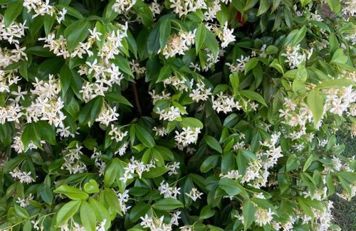 Madaillan Bed & Breakfast | Chambre d’hôtes Mamounet Haut