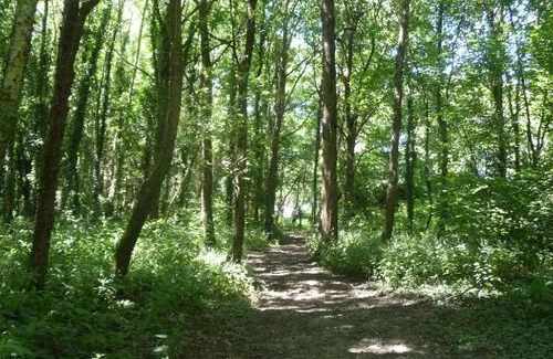 Bazouges-sur-le-Loir House | Chambre d'hôte en Vallée du Loir - Elevage des Rosiers