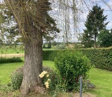 Olne Bed & Breakfast | Chambre d hote