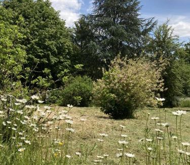 Sereilhac House | Chambre dans anciennes écuries
