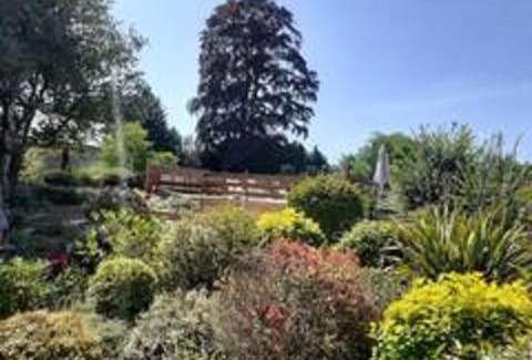 Conde-sur-Noireau House | chambre plénitude