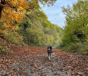 Frouville House | Chambre Vert Sauge, lit double 2 personnes, Maison en plein coeur du Parc Régional du Vexin