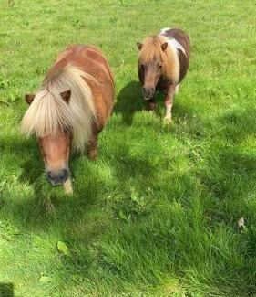 Contremoulins Bed & Breakfast | Chambres d'Hôtes Aux Ecuries du Chateau
