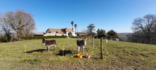Sauvelade Bed & Breakfast | Chambres d'hôtes dessine-moi un chemin