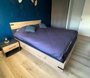 Sainte-Croix-en-Plaine Apartment | Charmant appartement Cosy porte de Colmar