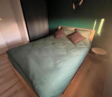 Sainte-Croix-en-Plaine Apartment | Charmant appartement Cosy porte de Colmar