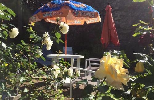 Neris-les-Bains Apartment | Charmant studio à Néris-les-Bains 20 m² avec jardin privé