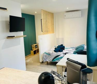 Ceret Apartment | Charmant studio en centre-ville