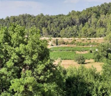 Bras House | Charmante demeure au cœur de la provence verte