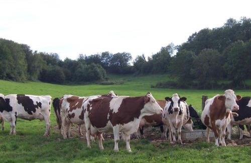 Orbigny-au-Val House | Charmante maison bio avec jardin près du lac de la Liez - FR-1-611-15