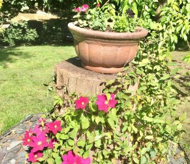 Hailsham Apartment | Charming 1-Bedroom Apartment near South Downs