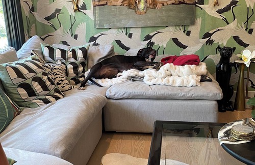 Greenwood Lake Cottage | Charming 2-bedroom cottage in delightful Greenwood Lake with WiFi, AC