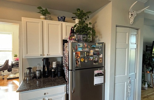 East Albany Park Apartment | Charming 2-bedroom 2 bath apartment flooded with natural light