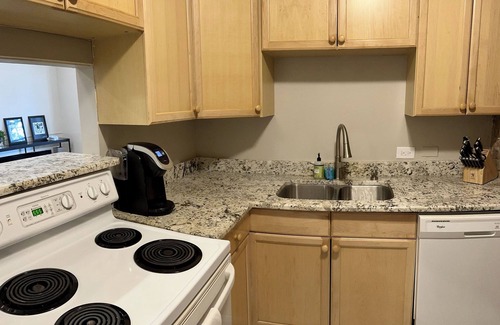 Mid-North District Apartment | Charming 2 BR apartment near Lincoln Park zoo in historic building