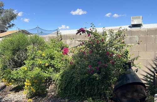 Paradise Valley Oasis House | Charming 3-bedroom/2 bath house with twin beds & Pool