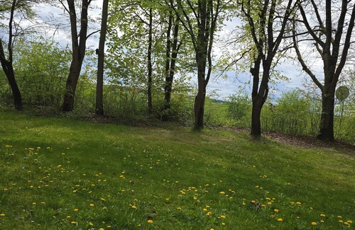 Amberg Apartment | Charming and peaceful studio with gorgeous green backyard view. Energy boosting