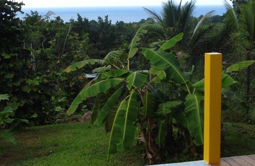 Duzer House | Charming Creole hut with swimming pool