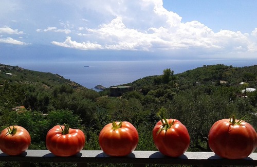 Sant'Agata sui Due Golfi Apartment | 'Charming House' peaceful country house with sea view