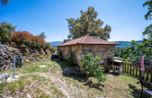 Mondim de Basto House | Charming house in Vilar de Ferreiros with shared pool