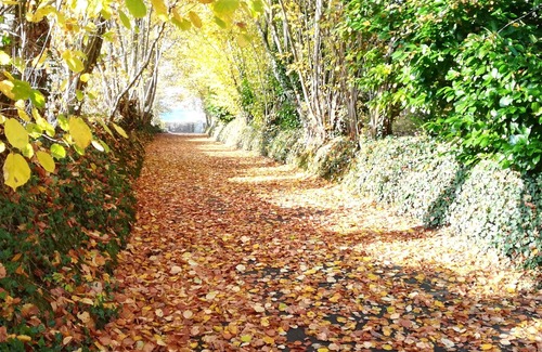 Coulans-sur-Gee Cottage | Charming Renovated Barn with Garden, 3 Ensuite Bedrooms, Near Le Mans