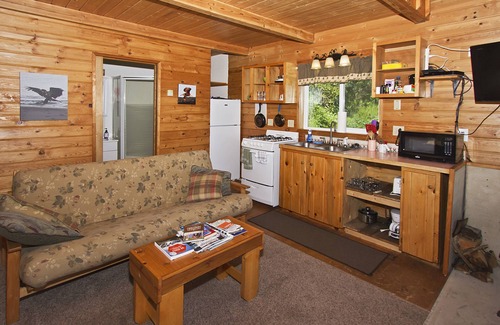 Homer Cabin | Charming Up the Hill Cabin with spectacular views