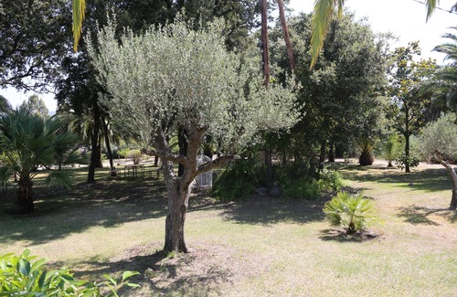 Montegrosso Villa | charming villa between sea and mountain