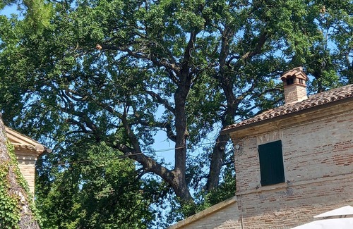 Osimo Villa | Charming villa in the Marche hills a few km from the Conero Riviera