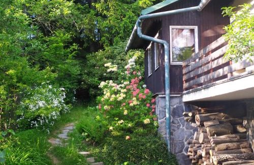 Hutisko-Solanec House | Chata na Poskle u lesa s výhledem