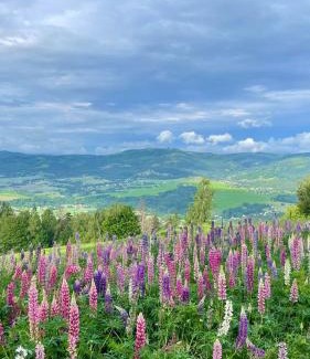 Hradek Cabin | chata Oáza klidu v Beskydech