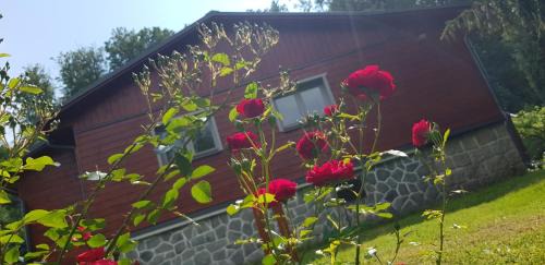 Radvanovice Apartment | Chata SPOLUNAKOLE - Český ráj