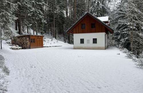 Zdarky House | Chata u studánky