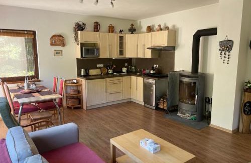 Nejdek Apartment | Chata Vysoká Štola Nejdek