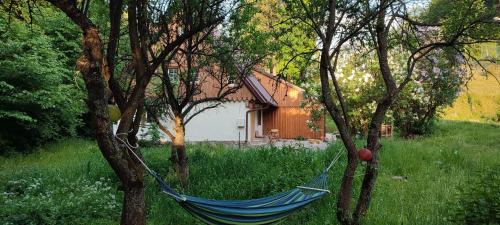 Miedzygorze Apartment | Chata Wilczka