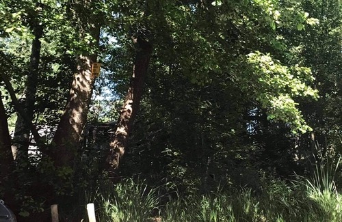 Torzym Cabin | Chatka Puchatka