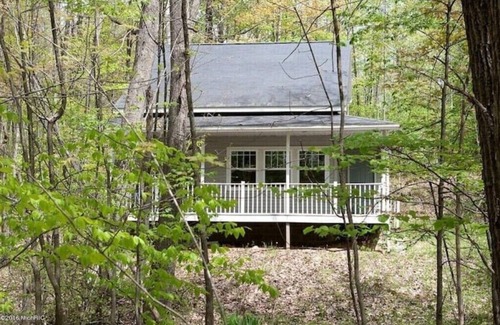 Evart Cottage | Cheerful 3-brd, 2 full bth cottage with DNR launch lake access on Chippewa Laken