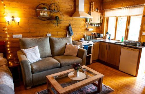 Welshpool Ski Chalet | Cherry Cabin - Little Log Cabin in Wales