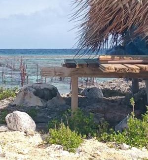 Vaitape Other | Chez Hina no Pacifica