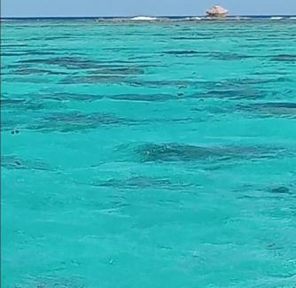 Vaitape Other | Chez Hina no Pacifica