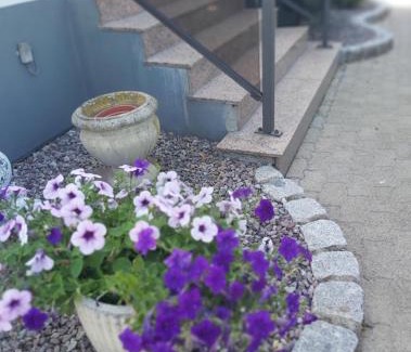 Schaeffersheim House | Chez Jeanine Maison Familiale